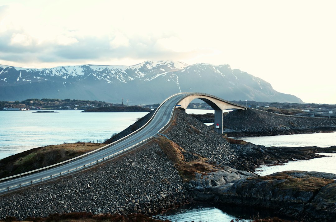 Forsikringsrådgivning: Din Guide til Trygge Valg
